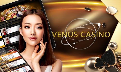 win44bet hacker slot cassino entretenimento