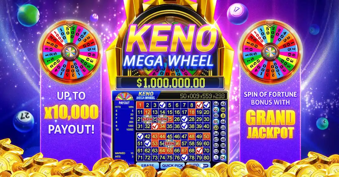 win44bet betf cassino on-line